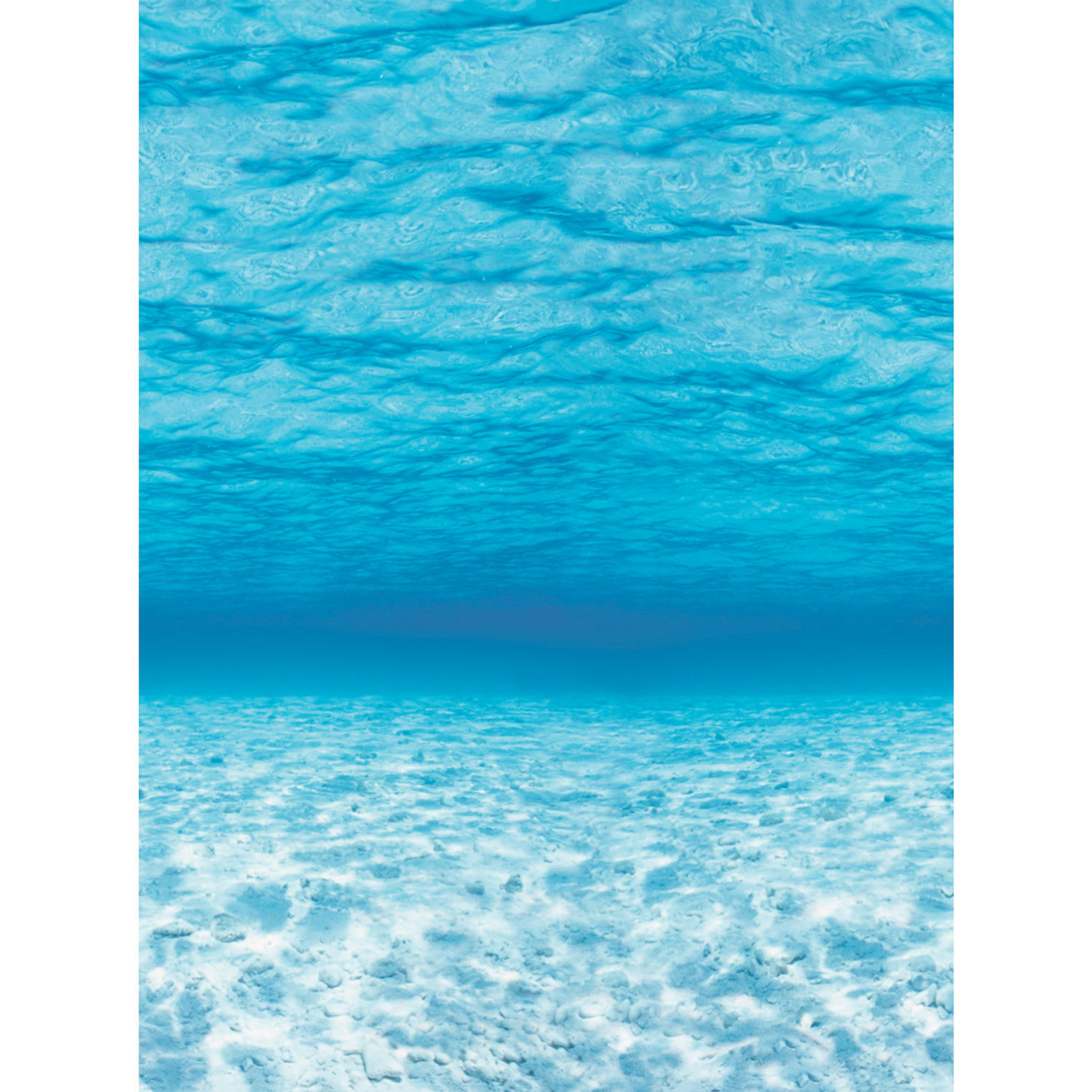 Better Than Paper Bulletin Board Roll, 4' x 12', Under The Sea, 4