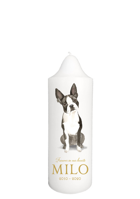 Boston Terrier - Pet memorial Candle