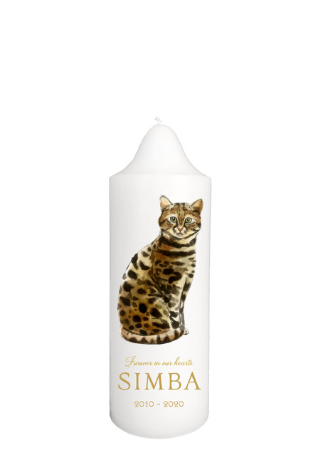 Bengal - Pet memorial Candle