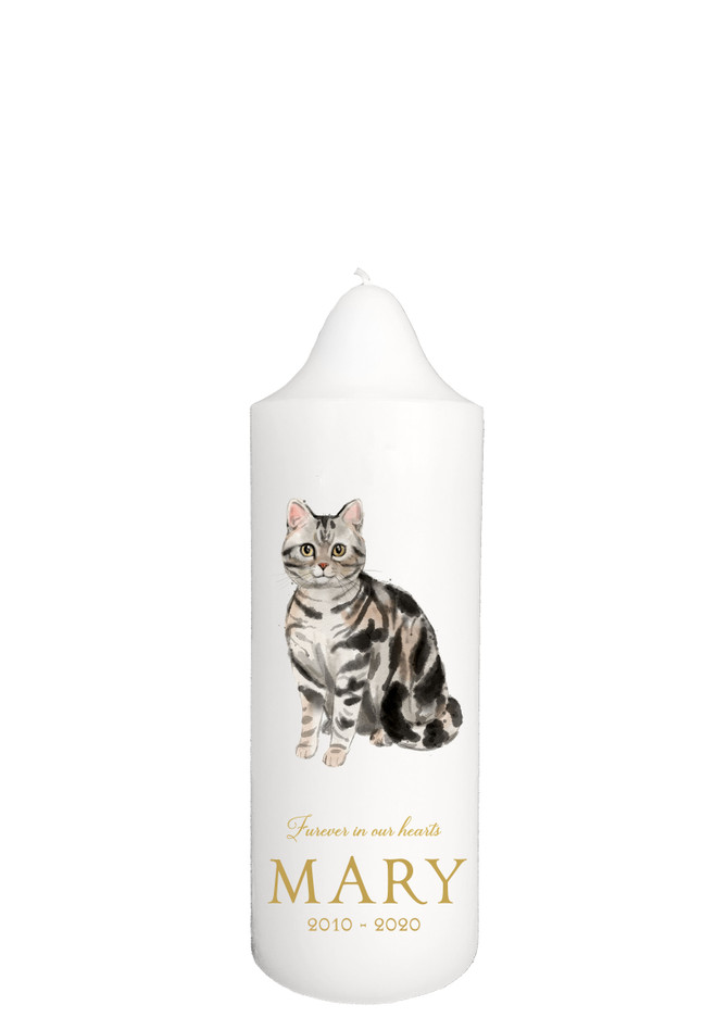 Tabby 2 - Pet memorial Candle