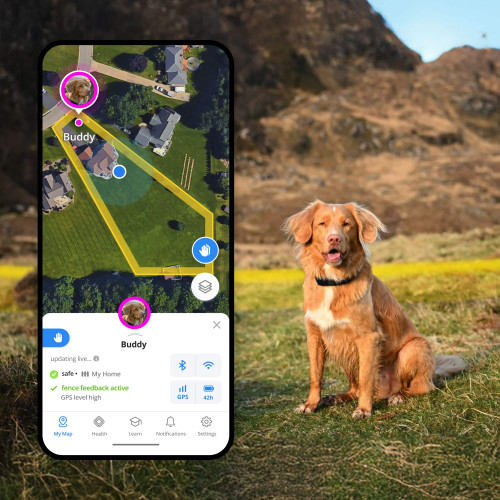 HALO - Collar 5, New Wireless Dog Fence & GPS Dog Collar, Subscription Required, Waterproof, One Size (5 colors) - Orchid