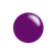 #241-S Purple Dino (sheer) - Nail Stamping Color (5 Free Formula)