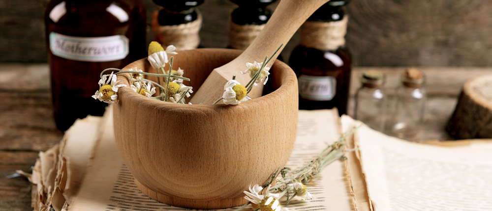servicio naturoterapia 2