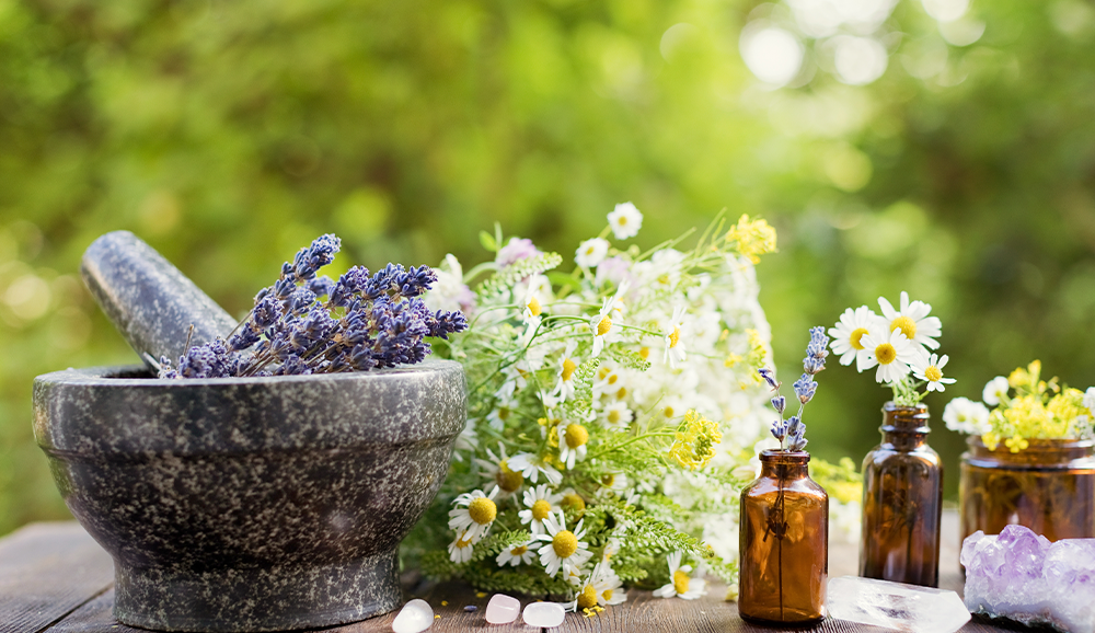 servicio naturoterapia 3