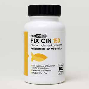 Fish Cin – Clindamycin 150mg – 100 Capsules Fish Cin – Clindamycin 150mg – 100 Capsules