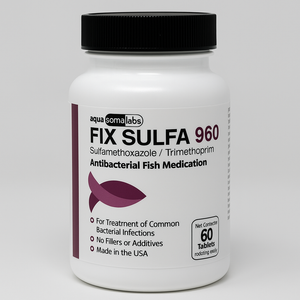 Fish Sulfa SMZ-TMP 960mg – 60 Tablets Fish Sulfa SMZ-TMP 960mg – 60 Tablets