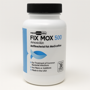 Fish Mox 500mg 30 Capsules Fish Mox 500mg 30 Capsules