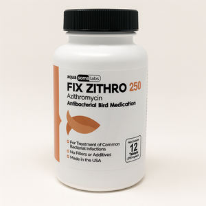 Fish Zithro 250mg 12 Tablets Fish Zithro 250mg 12 Tablets