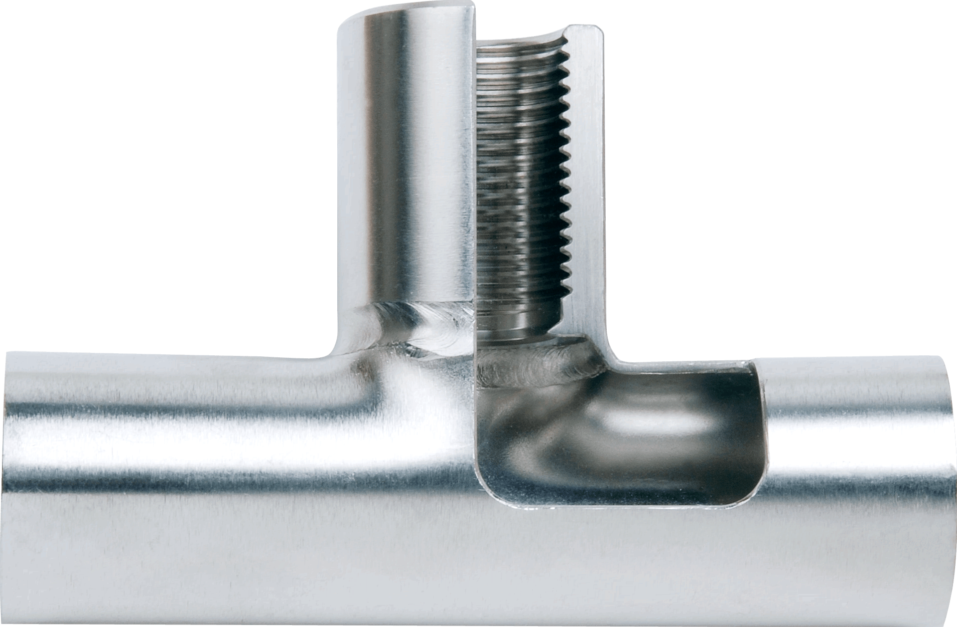 CLEANadaptMainImage.png