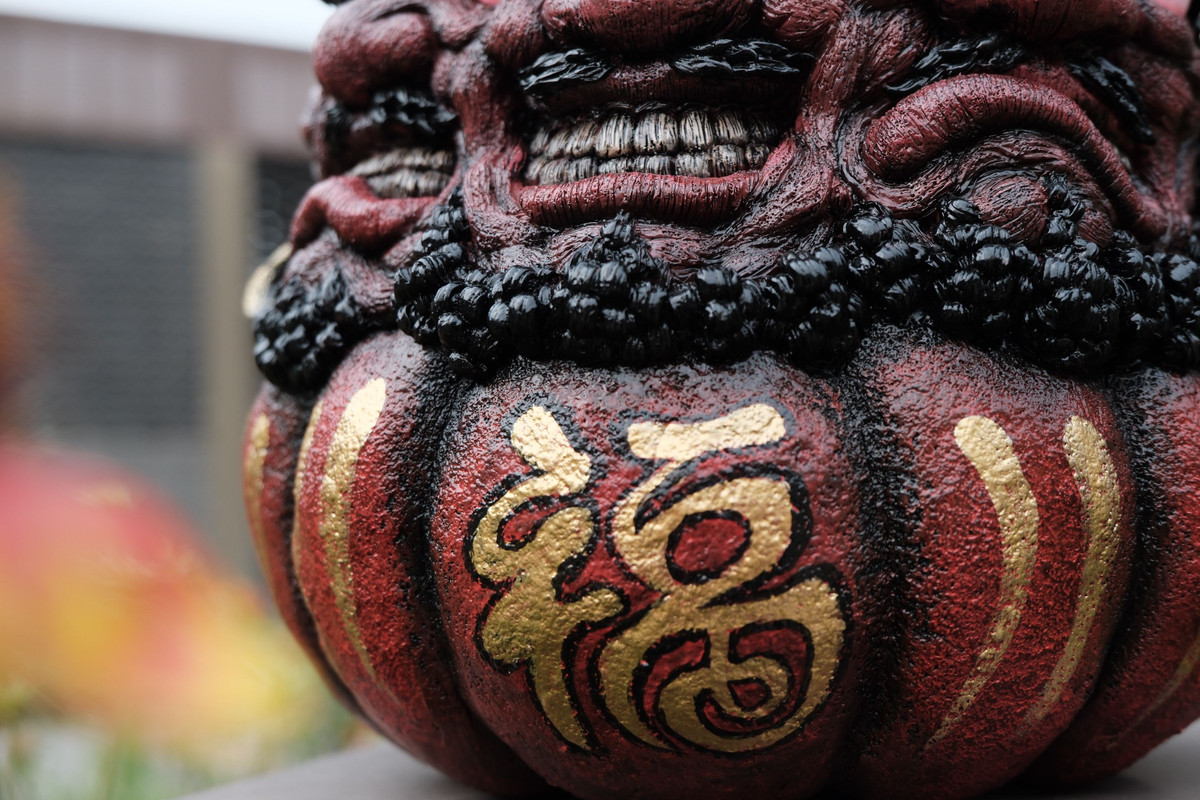 羅本製所 Copiapoa Daruma 入手困難セット Amazon.com: JAPANMUSEUM Japanese Red Daruma Doll Handmade