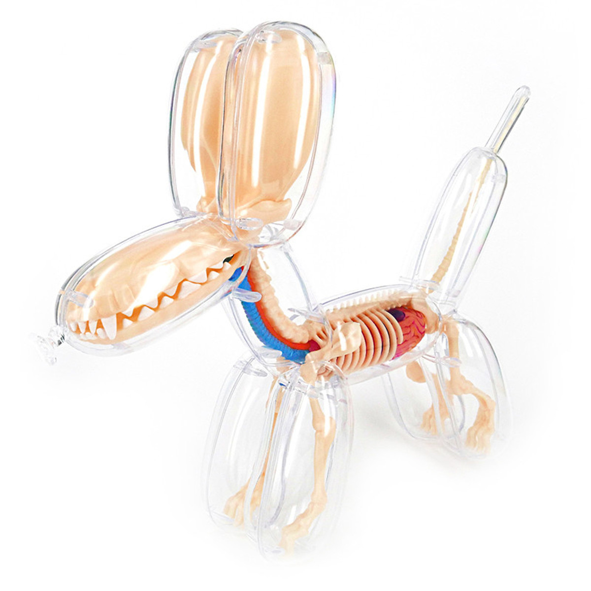 Balloon Dog Anatomy jason freeny バルーンドッグ Jason Freeny Balloon Dog Anatomy (GID Edition) - US