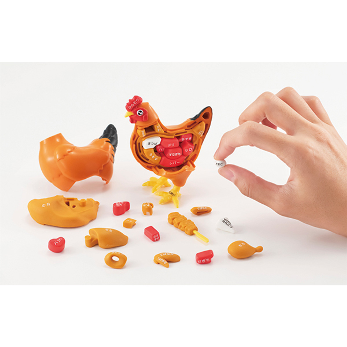 3D Chunky Food Puzzles Set of All 5 by Excellerations