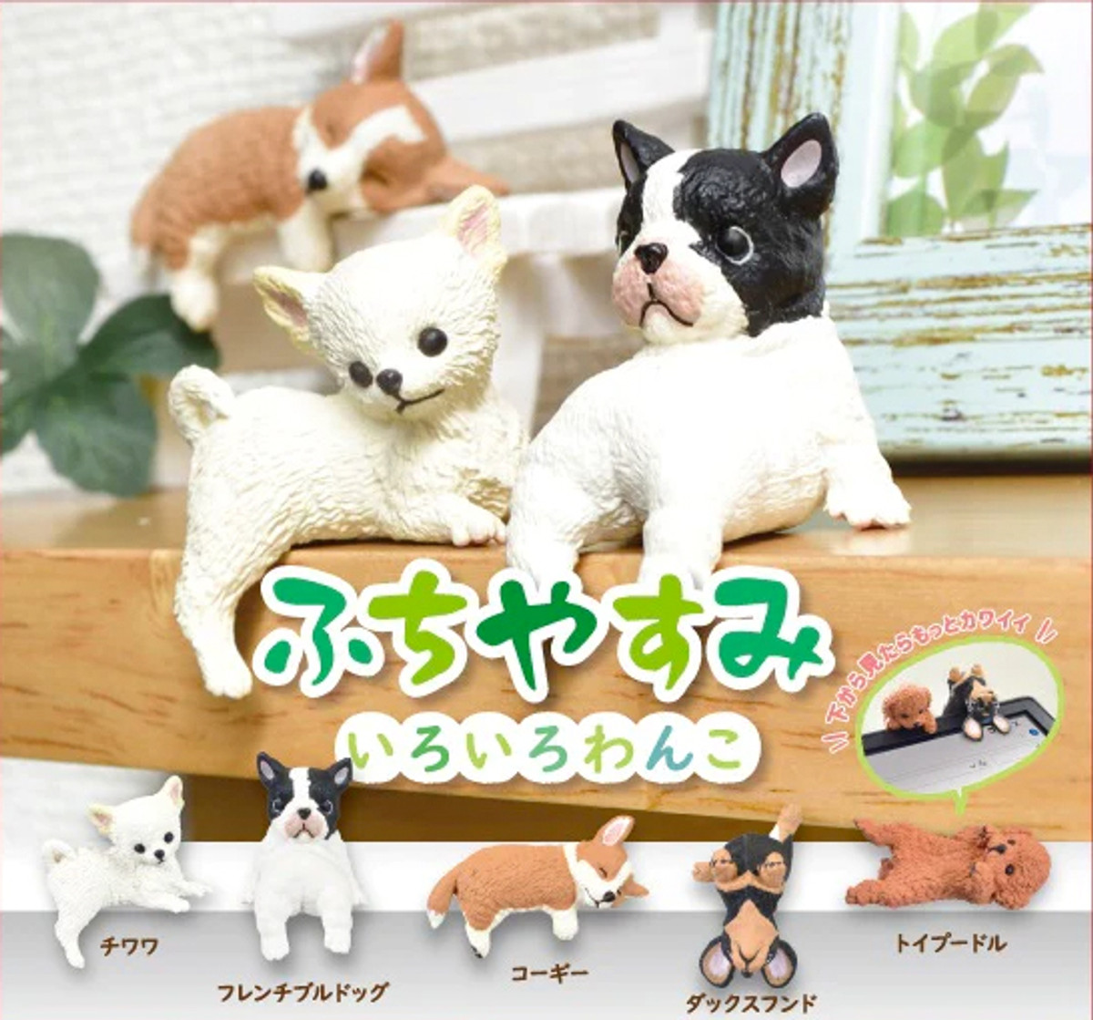 Yell Playful Hanging Dog Blind Box