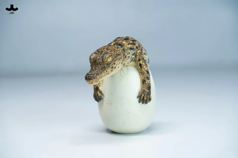 JXK Hatchling Crocodile PRE-ORDERS SHIPS Q3 2026