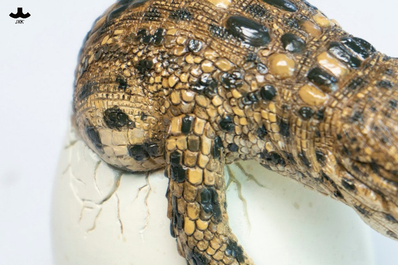 JXK Hatchling Crocodile PRE-ORDERS SHIPS Q3 2026