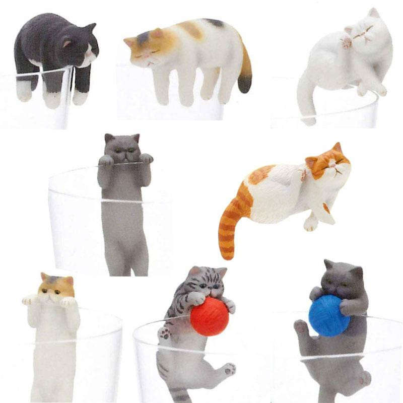 Putitto Exotic Shorthair Cat on the Cup : Blind Box