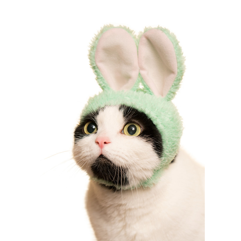 Cat Cap Rabbit : Blind Box