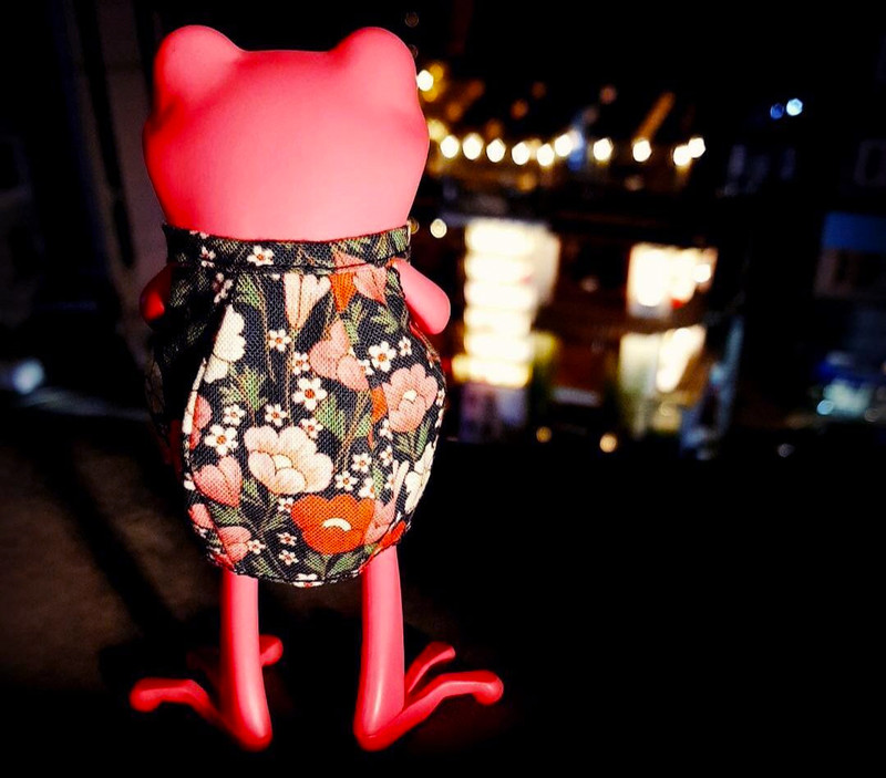 APO Frogs : Midnight Blossom