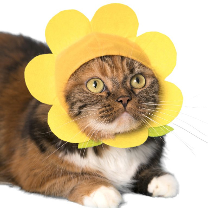 Cat Cap Flower Blind Box