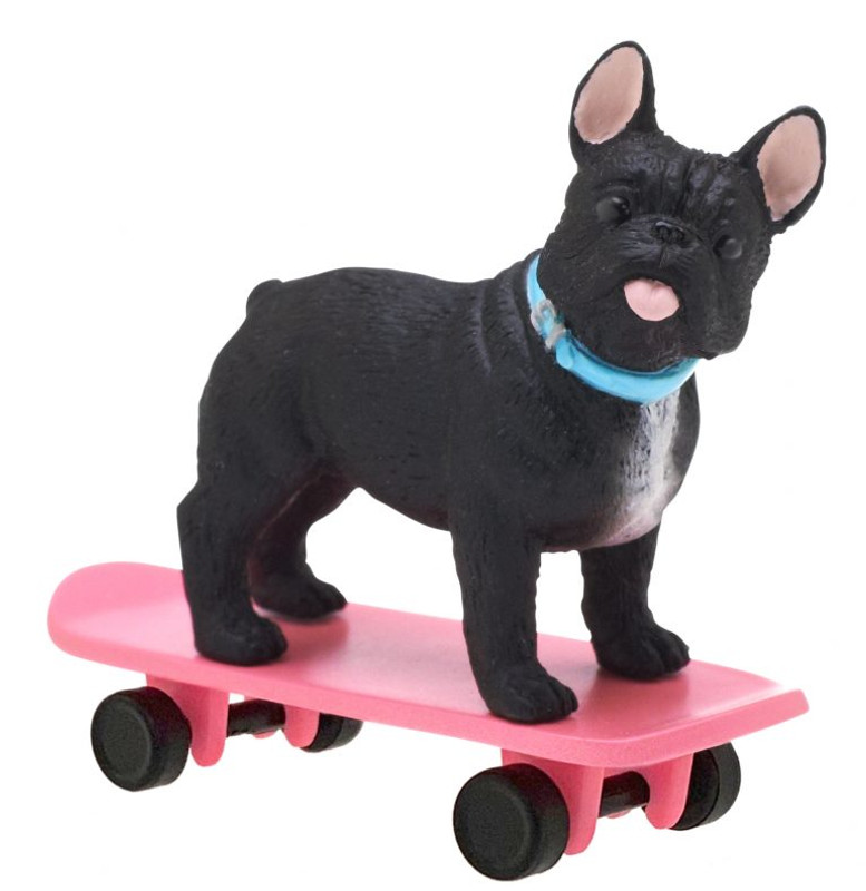 Skateboarding Dog Blind Box