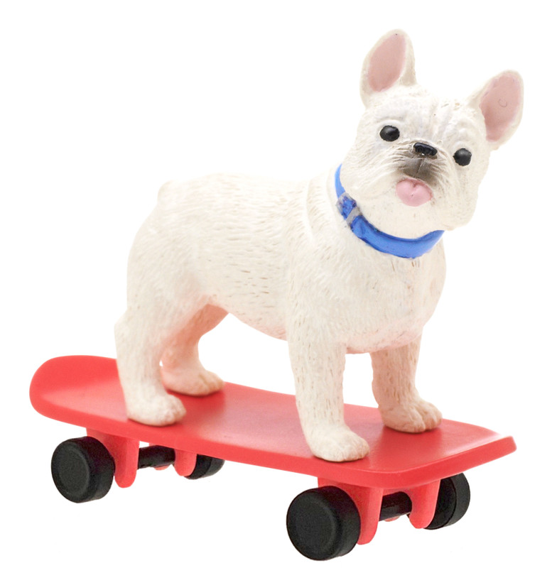 Skateboarding Dog Blind Box