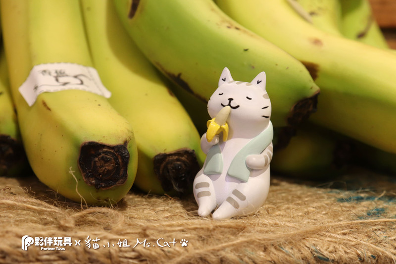 Meow Meow Market Blind Box PRE-ORDER SHIPS MAY 2023