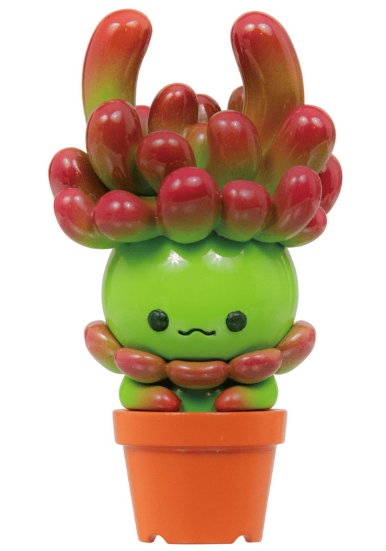 Succulent Friends Blind Box