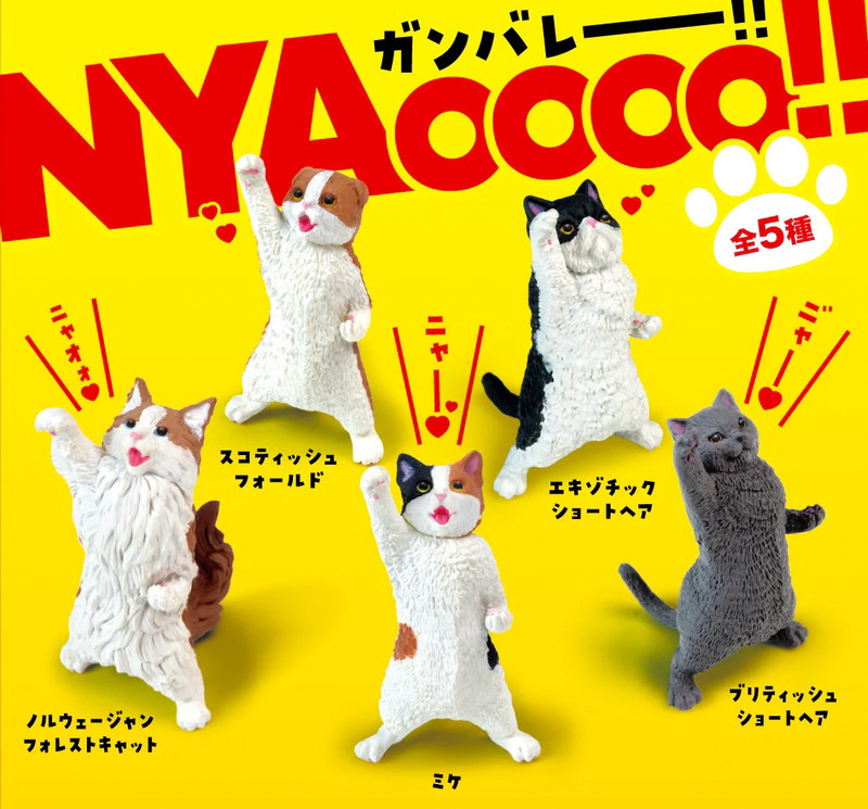 Nyaoooo!! Cats Blind Box - myplasticheart