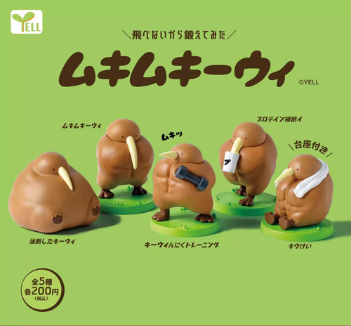 muscularkiwi_tmb__36262.