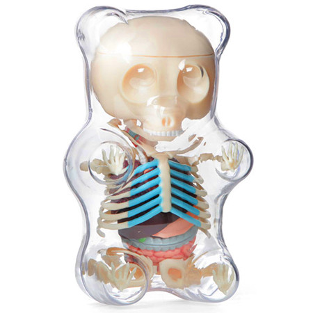 Gummi Bear Anatomy : Clear - myplasticheart