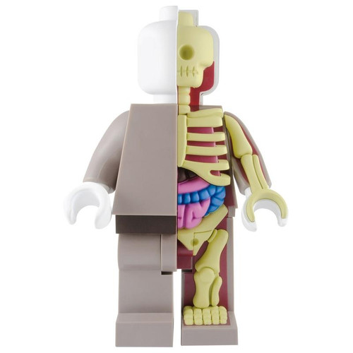 Bigger Micro Anatomic : Red - myplasticheart