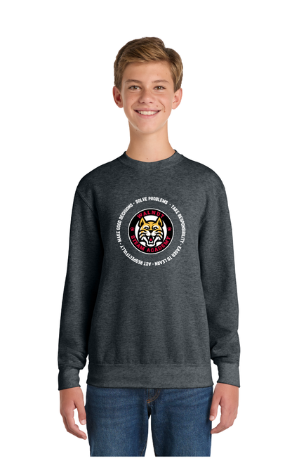 Youth Crewneck Sweatshirt