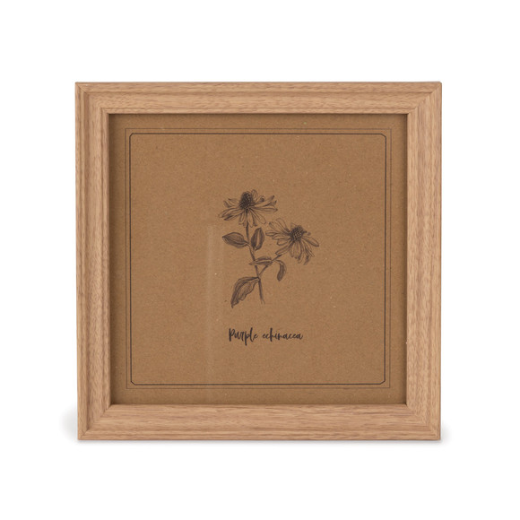 Cottage Bloom Purple Echinacea (Coneflower) Botanical Framed Art