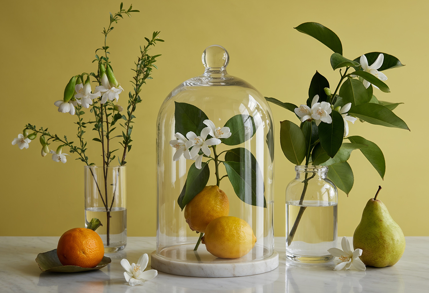 Shop our Window Shopping fragrance: a blend of lemon, gardenia and jasmine.