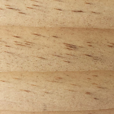 PolyWhey Exterior Penetrating Wood Stain Caspian Clear color swatch
