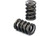 Isky Racing Cams 9685 Valve Springs Dual 1.625 OD