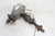 Motorcraft 12127 Ford Cleveland 351 Points Ignition Distributor 