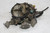 Rochester 17086009 Small Block Chevy 1986-90 305 307 Engines Quadrajet Carburetor