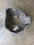 Ford D9ZC6394EA Aluminum Bellhousing 2.3 4 Speed 1979-80 