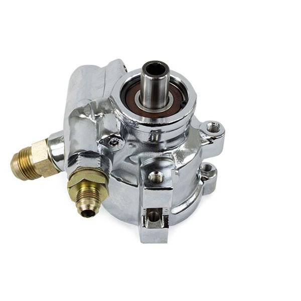 OEM GM Type II Chrome Power Steering Pump Saginaw TC Series LS Based