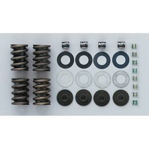 Trick Flow Valve Spring Upgrade Kit