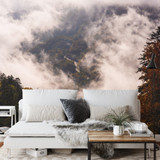 Photomural Forest In Fog (DOFT-473-FALL-el)
