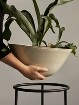 Daiza Planter (BB997540-el)