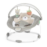 INGENUITY Little Bear Comfort Transat, φωτεινή αψίδα παιχνιδιού, αφαιρούμενο μαξιλάρι μείωσης (CDING0074451166677-el)