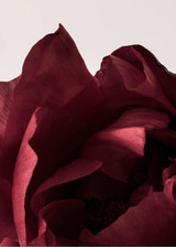 Peonia 03 Από Norm Architects (BB118008-el)