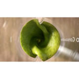 Μπλέντερ - PHILIPS - HR2500/00 Pro Blend - 350 W - 0,6 L - Λευκό (CDPHI8720389014024-el)