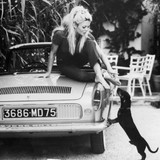 Acrylic glass picture - Brigitte Bardot 50x50cm (ORDAGP00776)