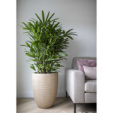 Κομψό χαμηλό βάζο - CAPI EUROPE - WASTE RIB NL - 46 x 58 cm - Μπεζ terrazzo (CDAUC8716443114816-el)