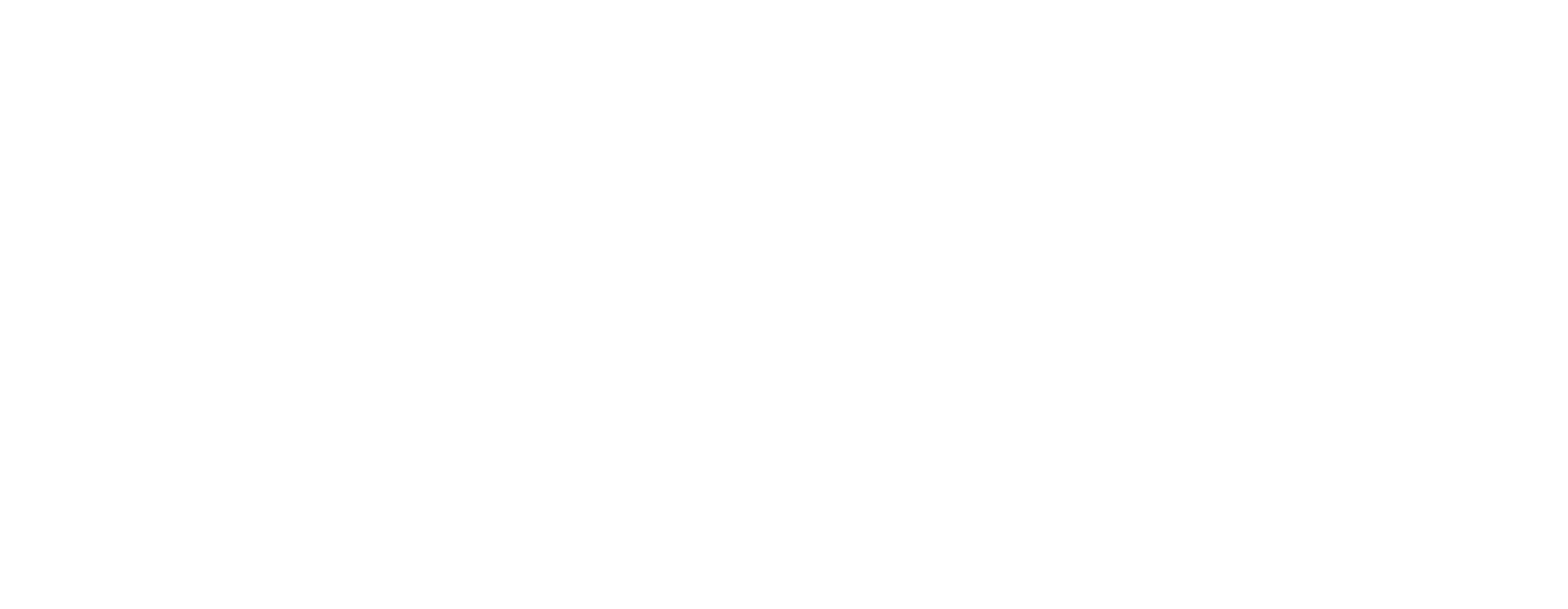 what is a thunder chicken