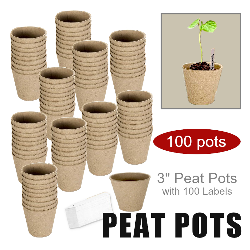 Wholesale Peat Pots Lexi’s Garage